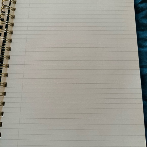 Fringe 192 lined-pages notebook. Mint green color with gold lettering on front. - Picture 3 of 7